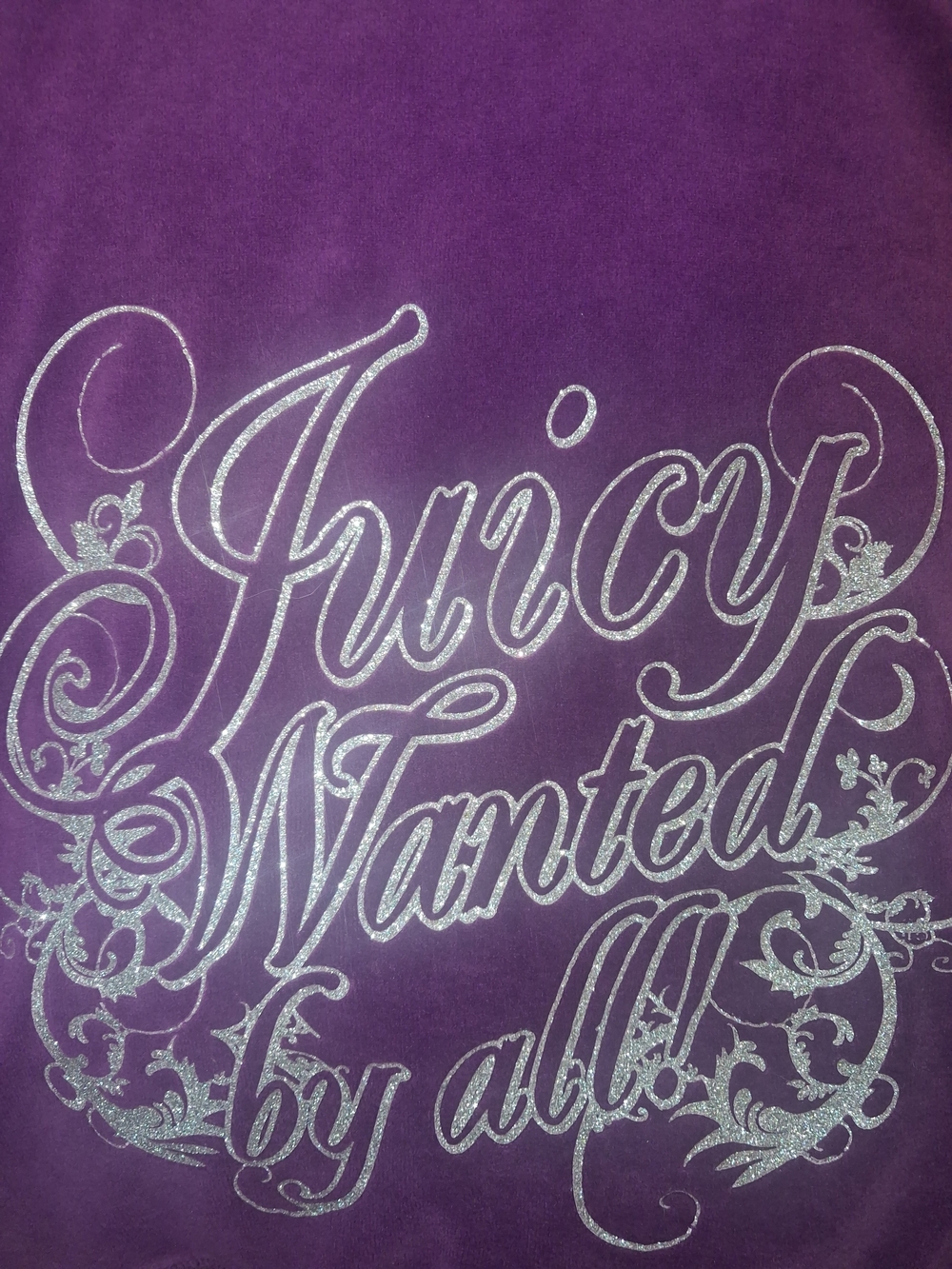 Juicy Couture Y2k Womans  Purple Logo Hoodie